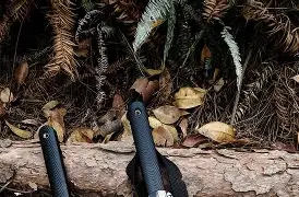 爱游戏app -关于鞘v鵈票O?dpD?mG?s軜?溼櫈??